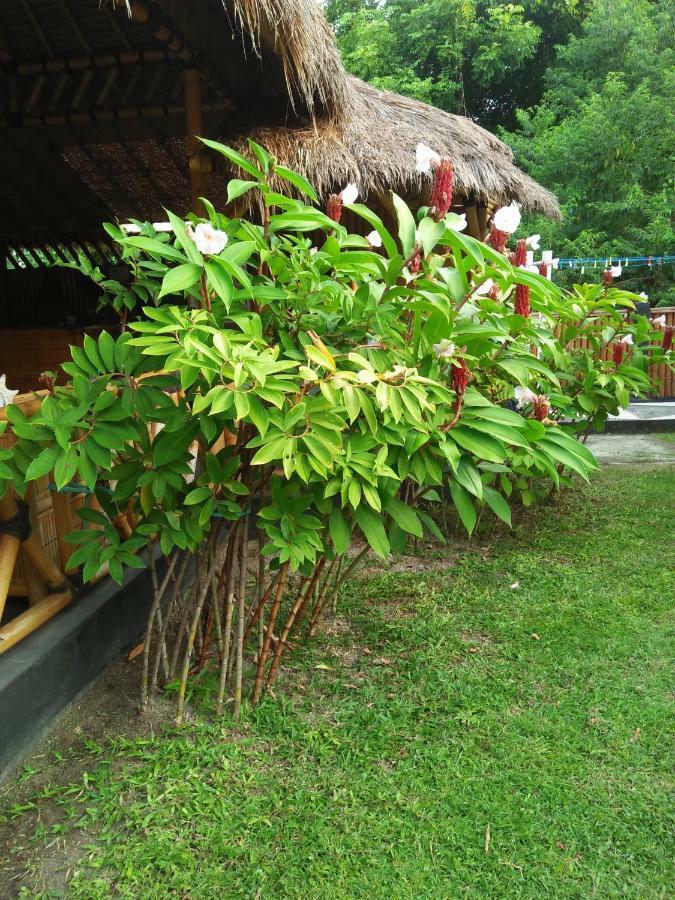 Tua Tua Keladi Bungalows Gili Islands Exterior photo